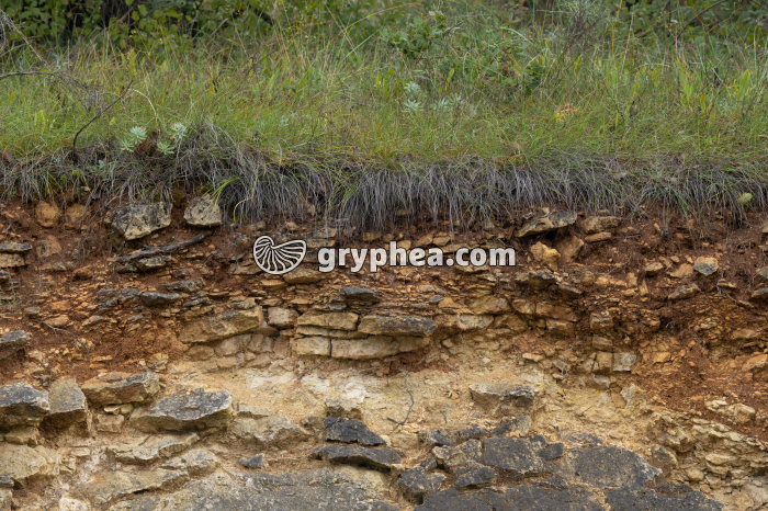 Sol sur calcaire - gryphea.org